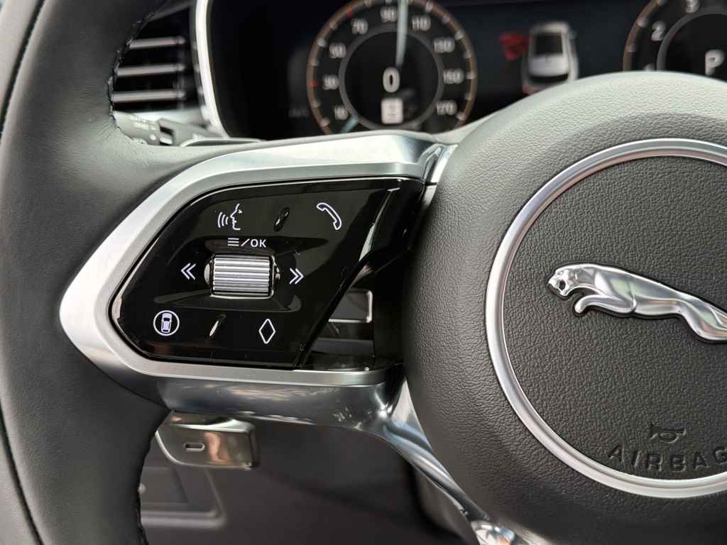 2026 Jaguar F-PACE P250 R-Dynamic S photo 11