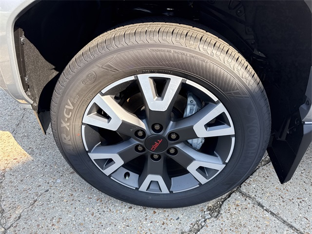 2025 Toyota 4Runner TRD Sport Premium photo 7