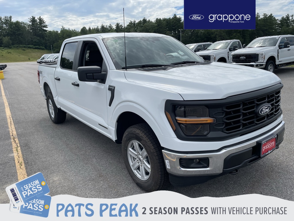 2025 Ford F-150 XL's photo