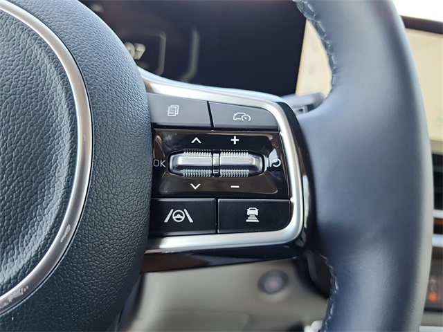 2026 Kia Carnival SX Prestige photo 21