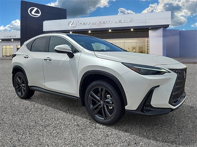 2025 Lexus NX PHEV 450h+'s photo
