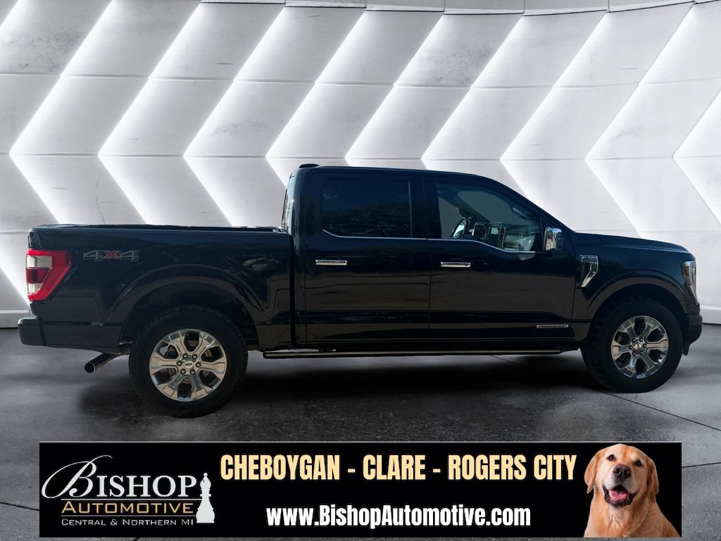 2021 Ford F-150 Platinum photo 11