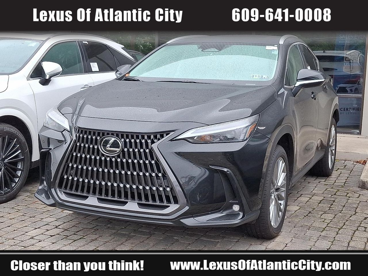 2025 Lexus NX 350h Premium AWD photo 3