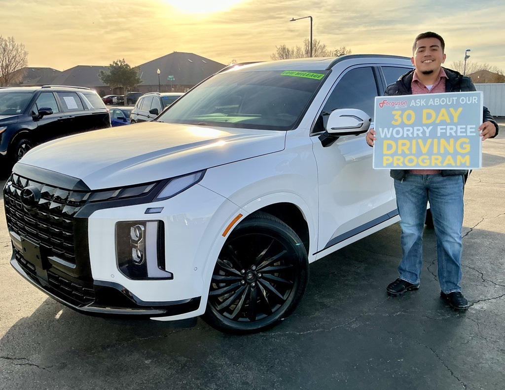 2025 Hyundai Palisade Calligraphy Night Edition's photo