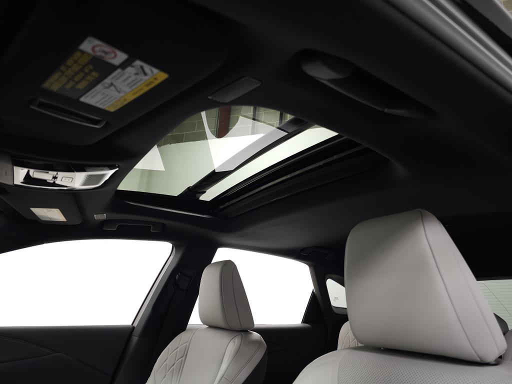 2024 Lexus RX 350 Premium photo 14