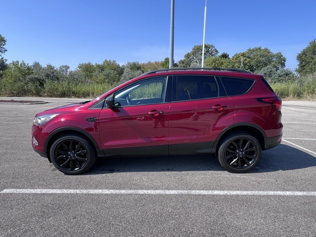 2019 Ford Escape SE photo 13