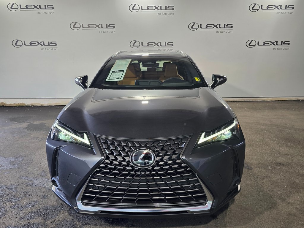 2025 Lexus UX photo 2