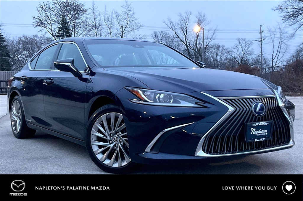 2019 Lexus ES Hybrid 300h Luxury's photo