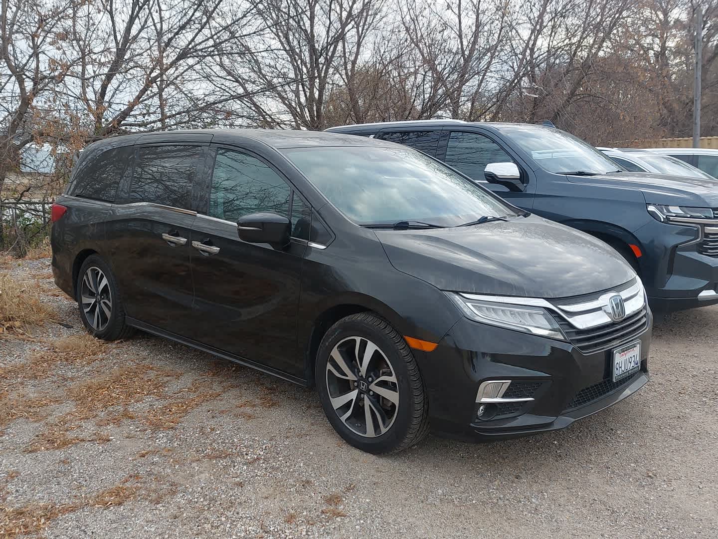 2019 Honda Odyssey Elite's photo