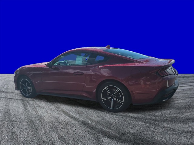 2025 Ford Mustang EcoBoost photo 6