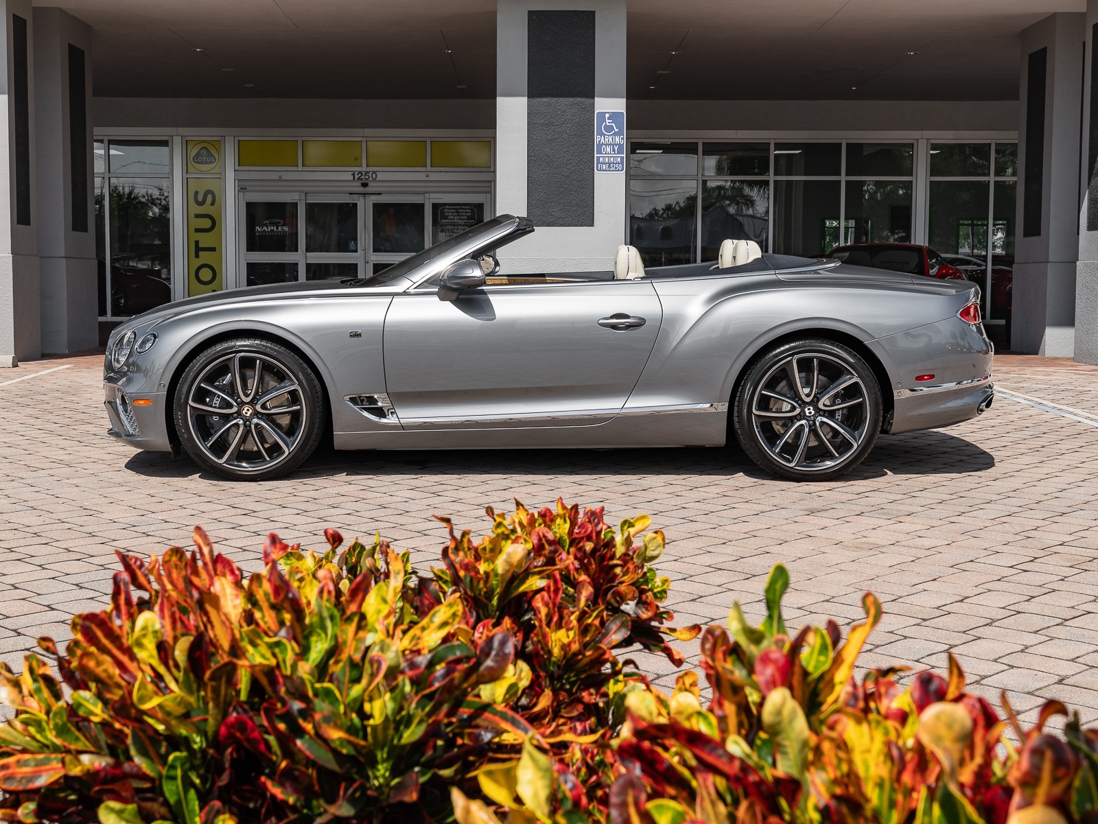 2020 Bentley Continental GTC GT photo 6
