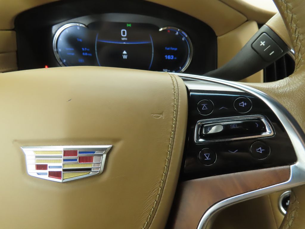 2017 Cadillac Escalade Platinum photo 12