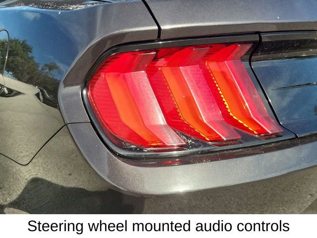 2022 Ford Mustang EcoBoost Premium photo 6