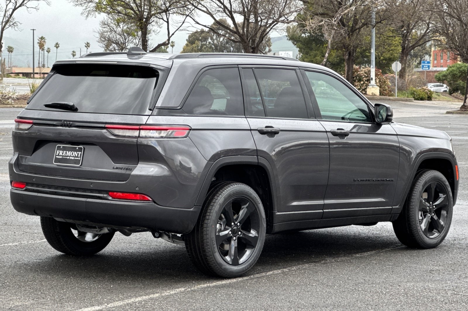 2025 Toyota RAV4 Limited photo 3