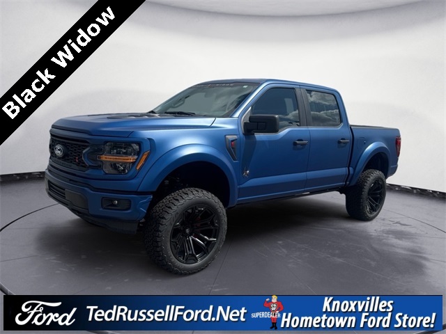 2025 Ford F-150 STX's photo