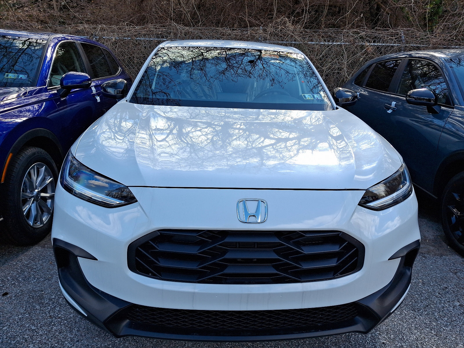 2025 Honda HR-V Sport photo 2