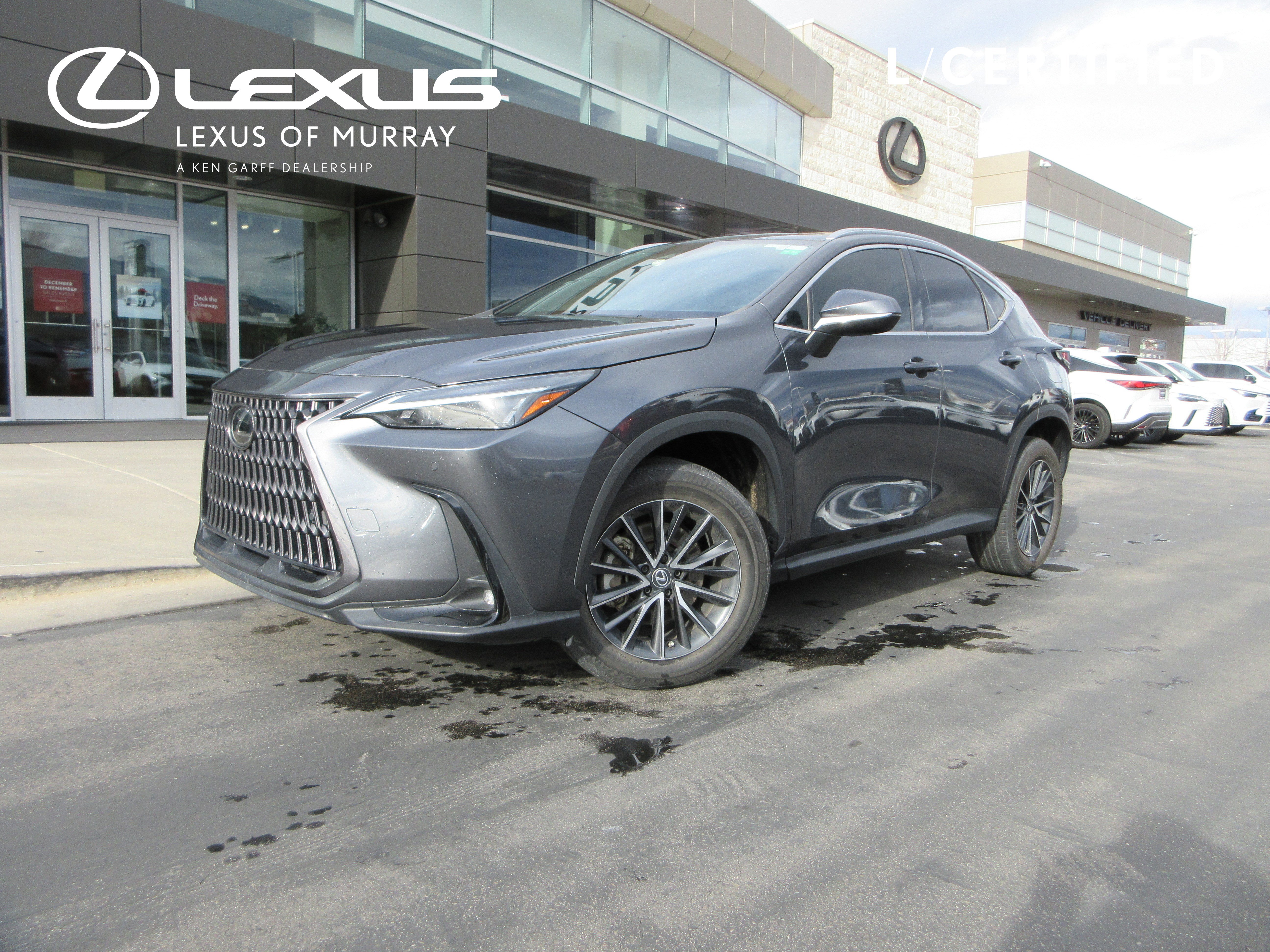 2023 Lexus NX 250's photo