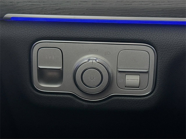 2026 Mercedes Benz GLS 450 4MATIC photo 10