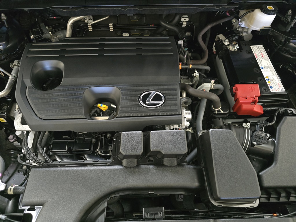 2022 Lexus NX 250 photo 31