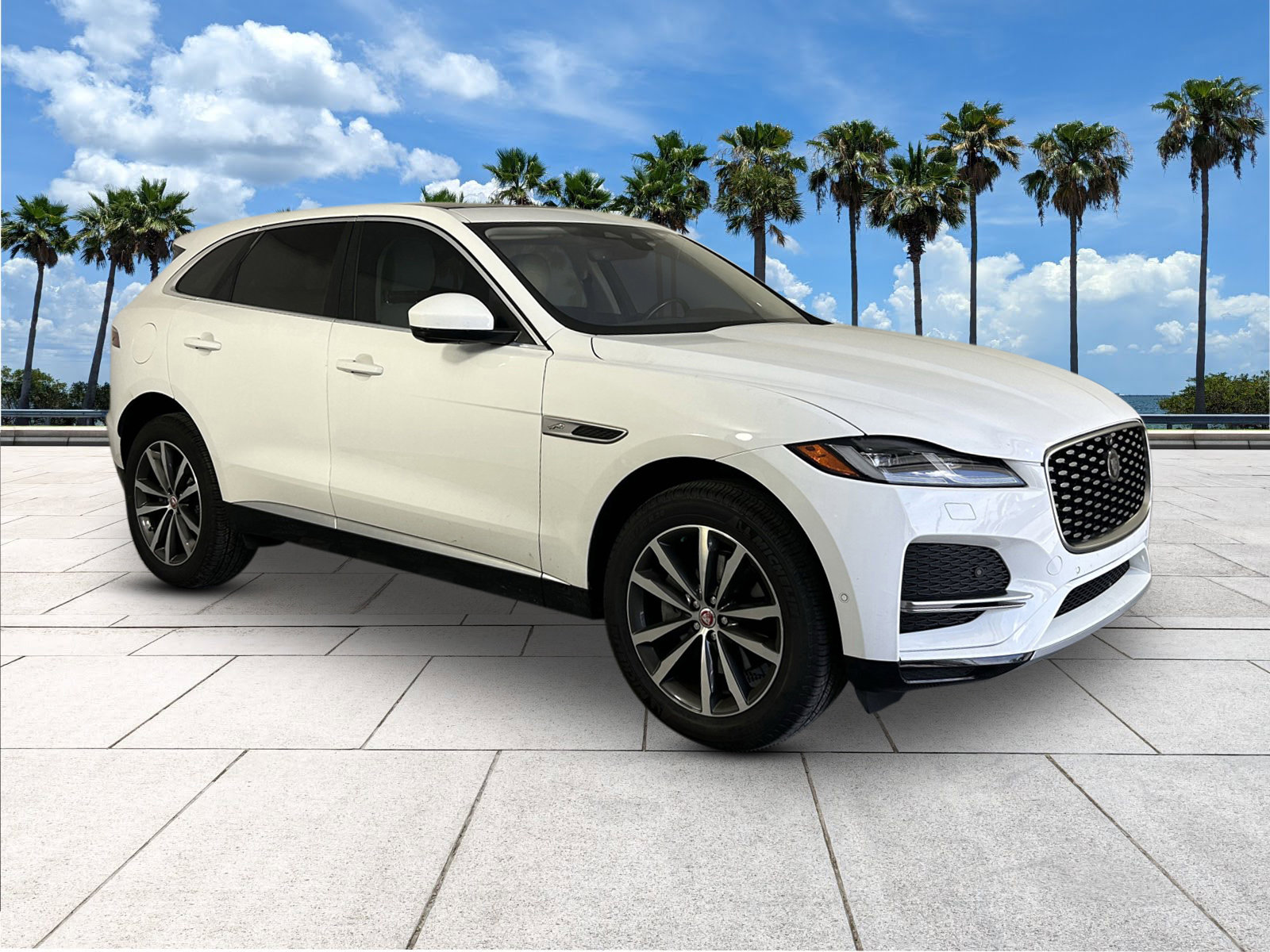 2021 Jaguar F-PACE P250 S photo 2