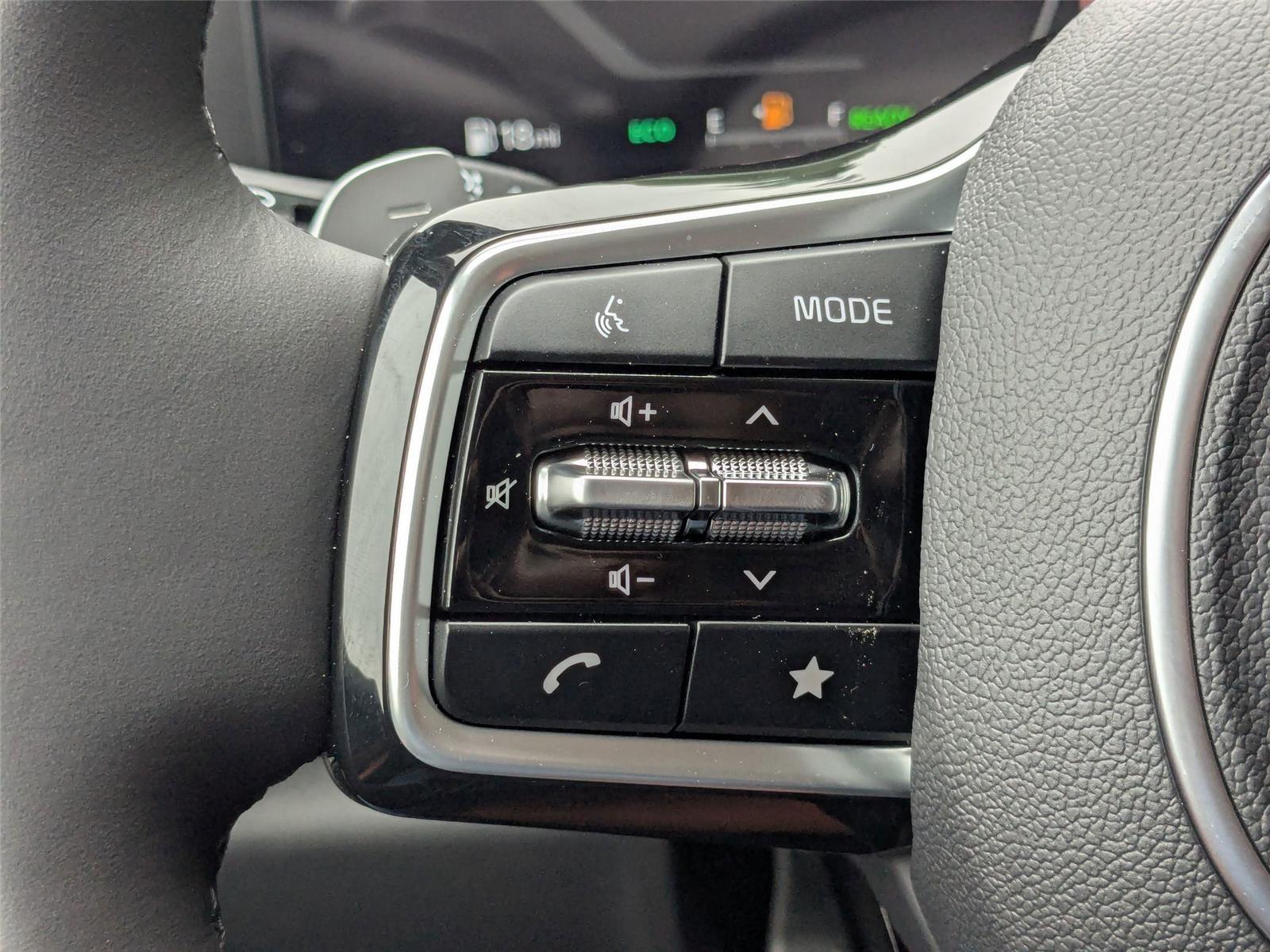 2025 Kia Carnival SX photo 17