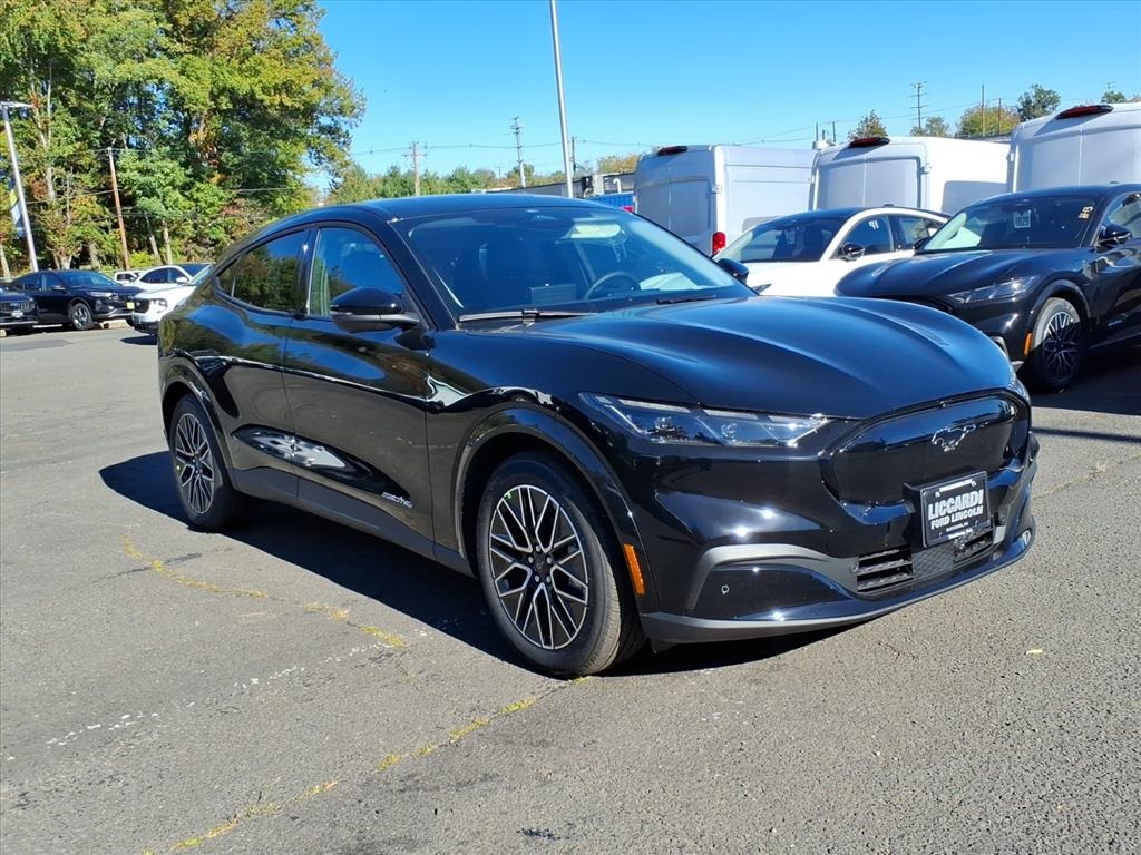 2025 Ford Mustang Mach-E Premium AWD's photo