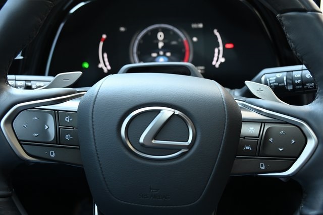 2024 Lexus RX 350 Premium photo 13
