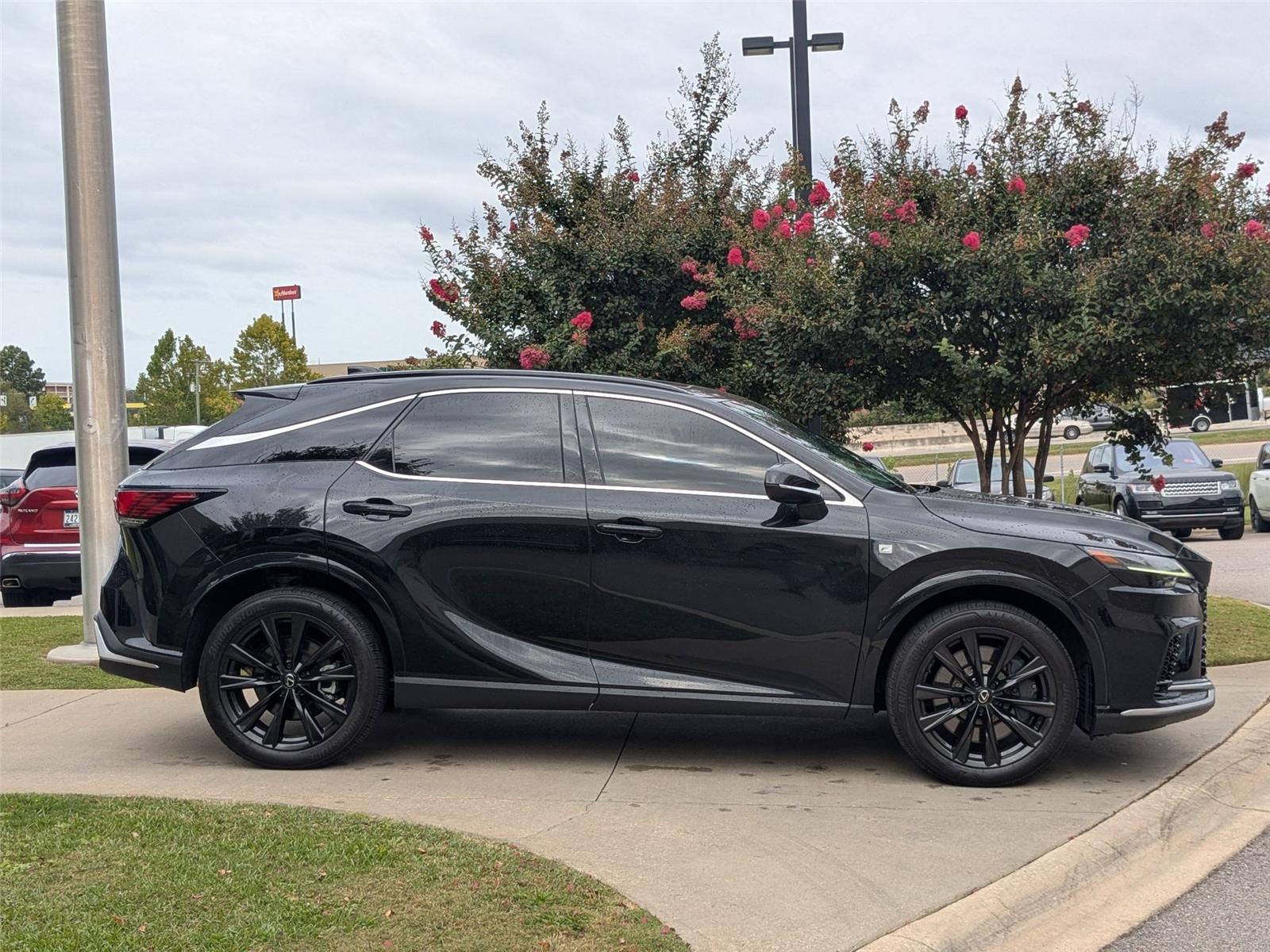 2023 Lexus RX 350 Luxury photo 4