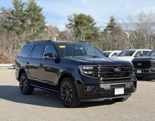 2025 Ford Expedition Platinum's photo