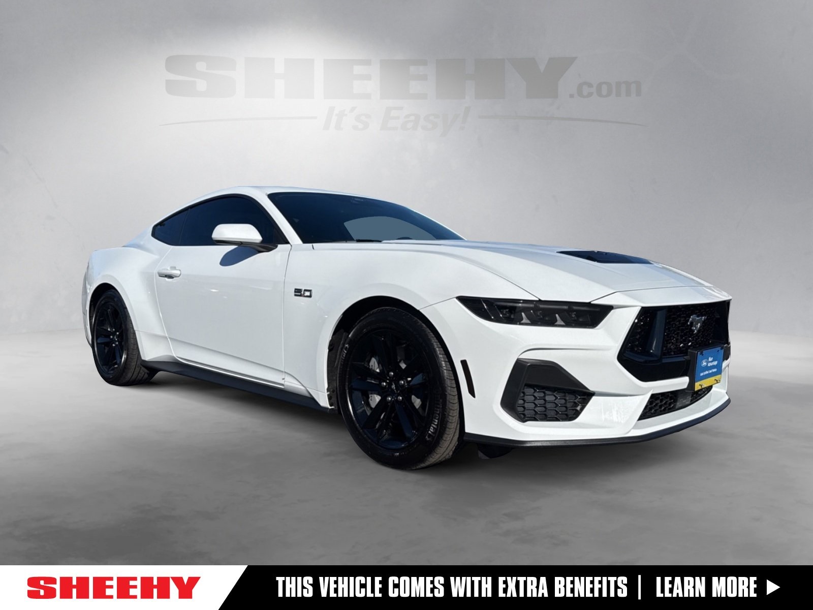 2025 Ford Mustang GT's photo