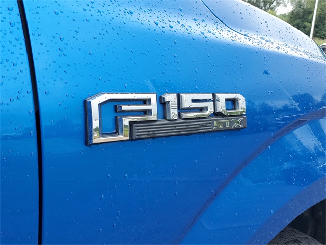 2019 Ford F-150 XL photo 7