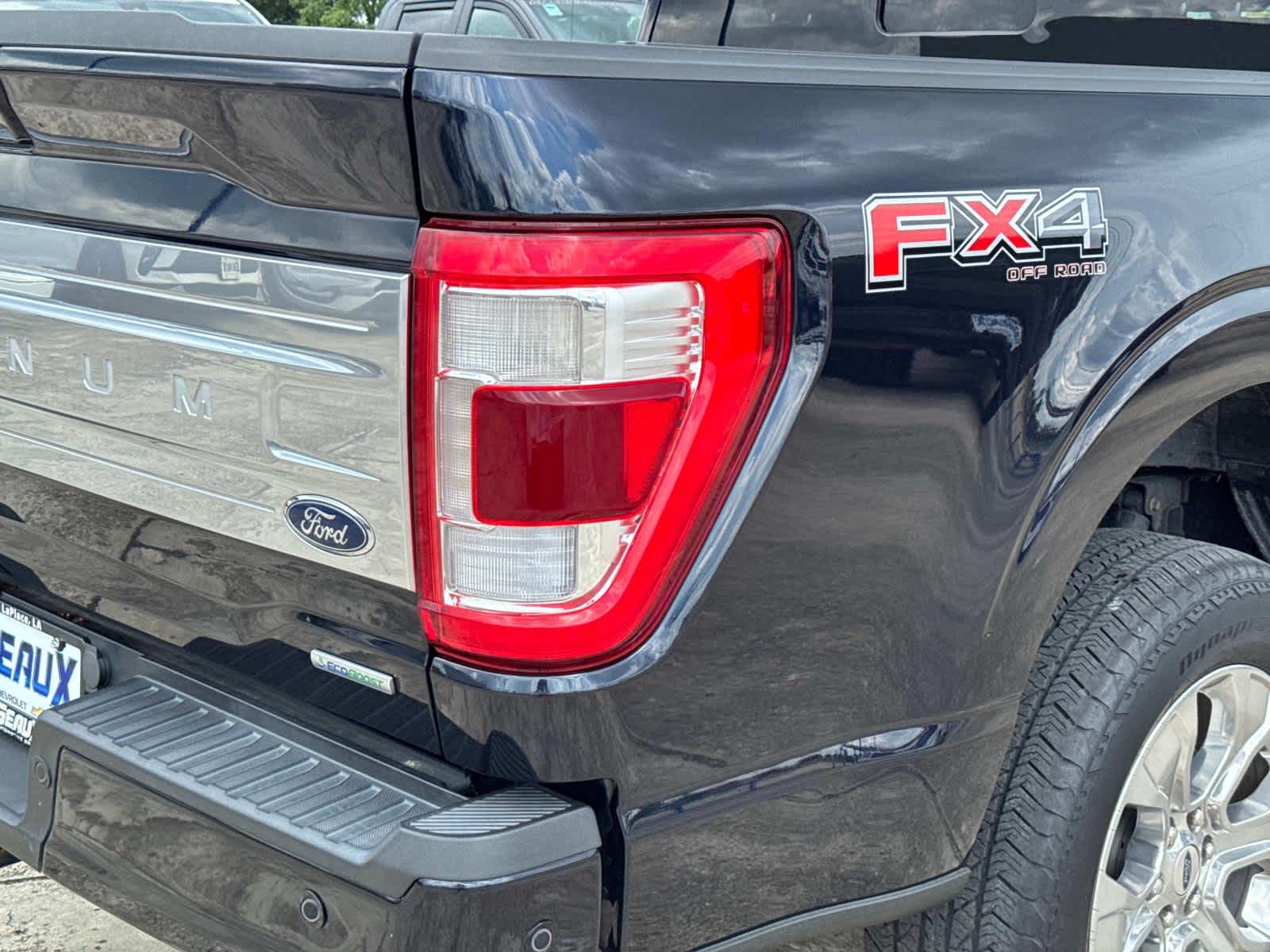 2021 Ford F-150 Platinum photo 11