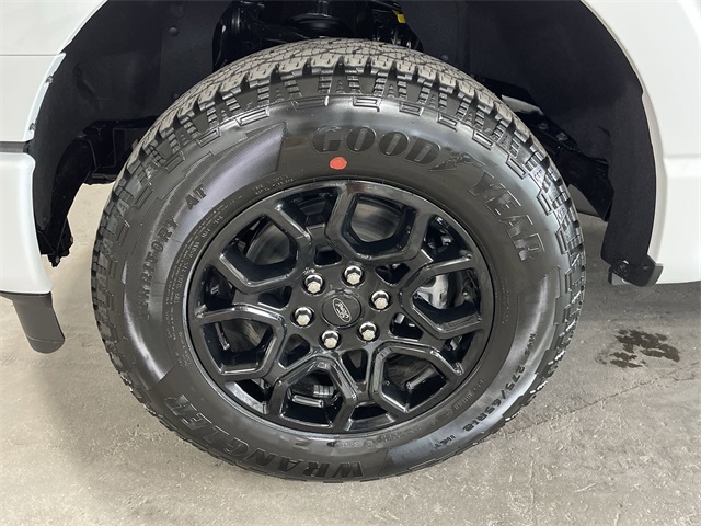 2025 Ford F-150 STX photo 21