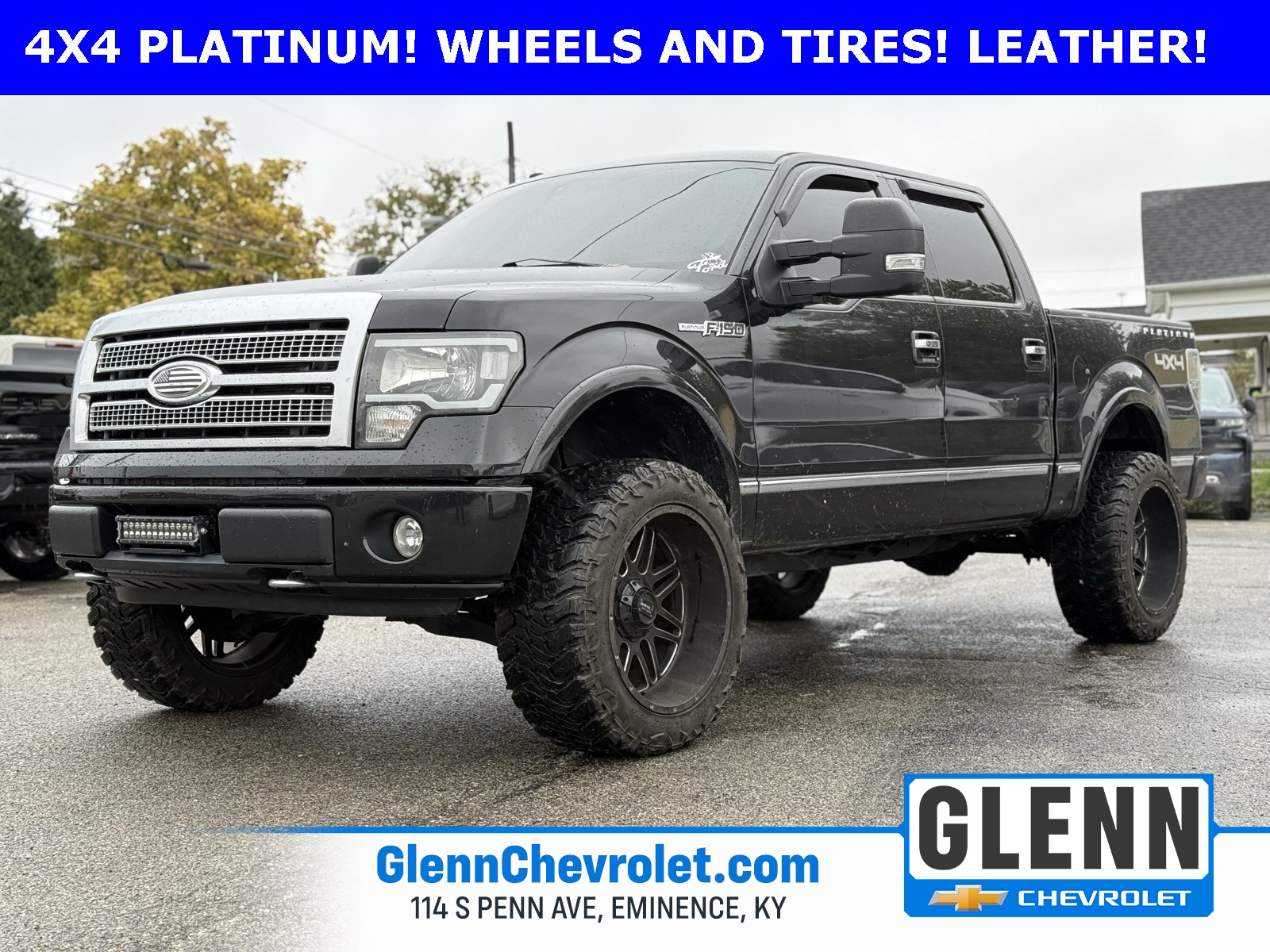 2010 Ford F-150 Platinum