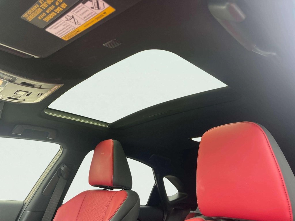 2021 Lexus NX 300 F SPORT photo 9