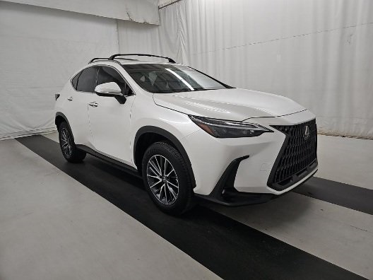 2024 Lexus NX 350's photo