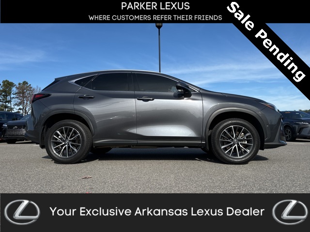 2024 Lexus NX Hybrid 350h's photo
