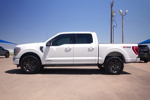 2023 Ford F-150 XLT photo 7