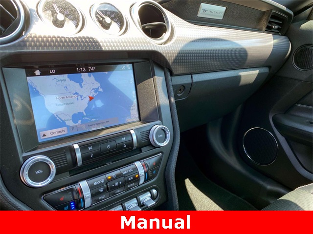 Used 2019 Kona Blue Ford EcoBoost Premium image 14