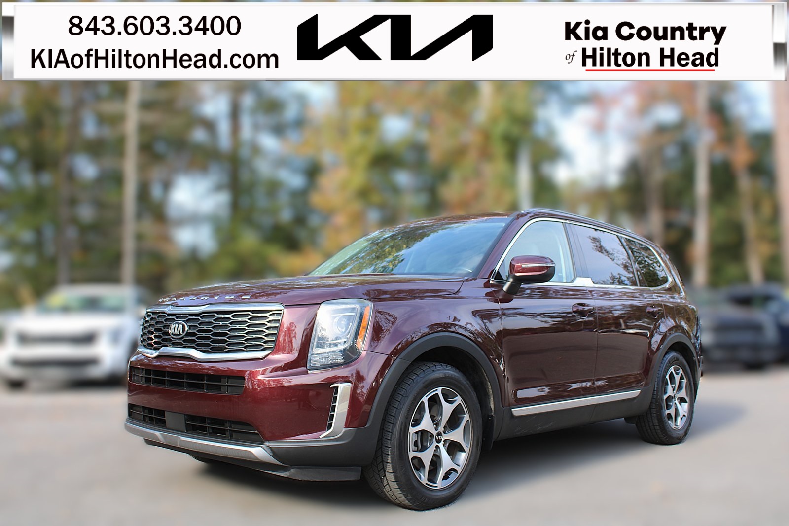 2021 Kia Telluride EX's photo