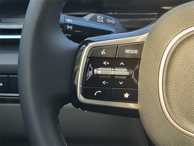 2026 Kia Carnival EX photo 24