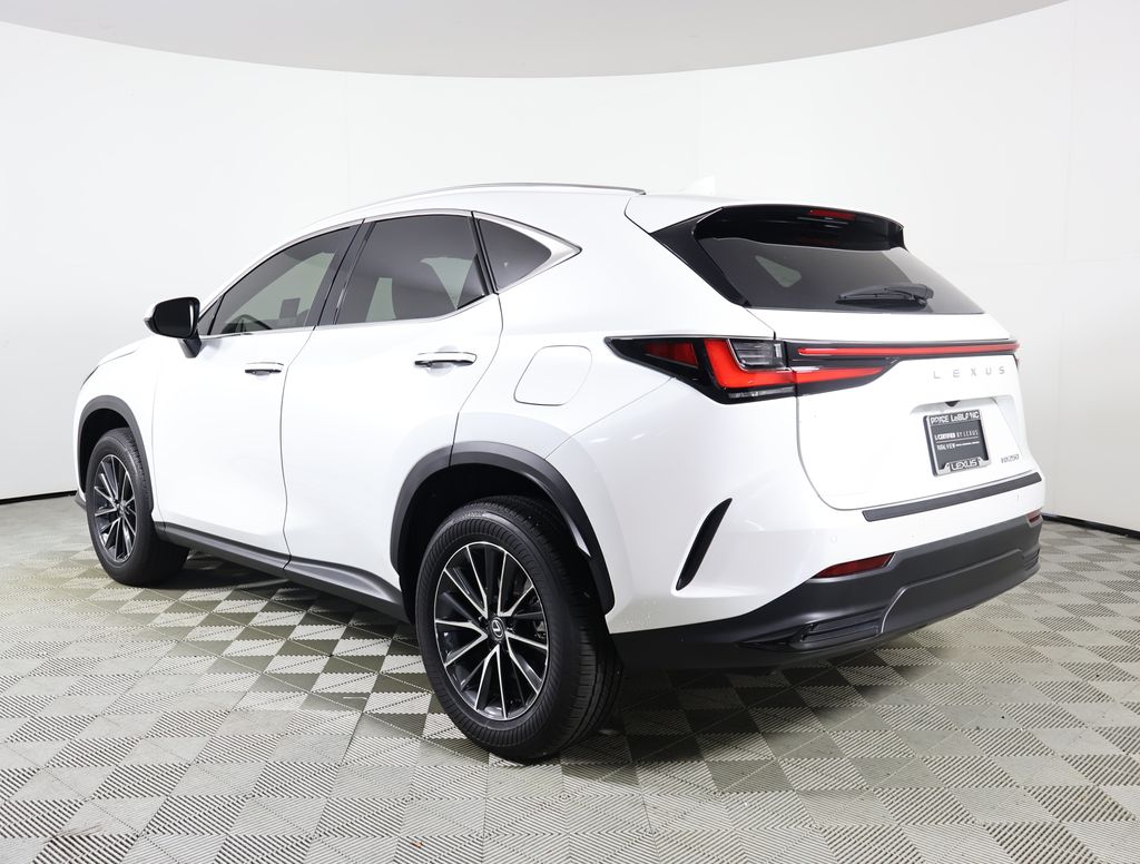 2024 Lexus NX 250 Premium photo 3