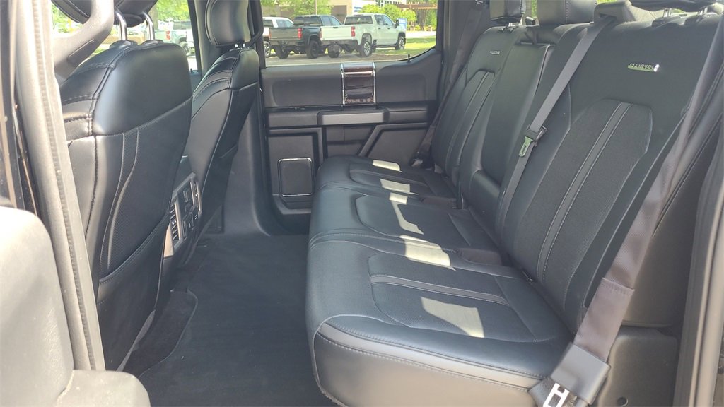 2017 Ford F-150 Platinum photo 10