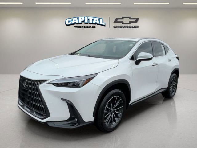 2024 Lexus NX 250's photo