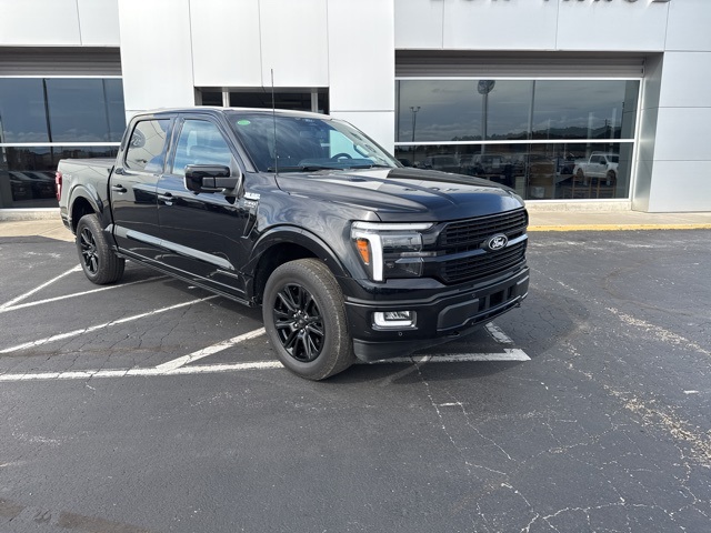 2024 Ford F-150 Platinum photo 6