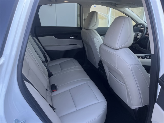 2025 Nissan Murano SL photo 3