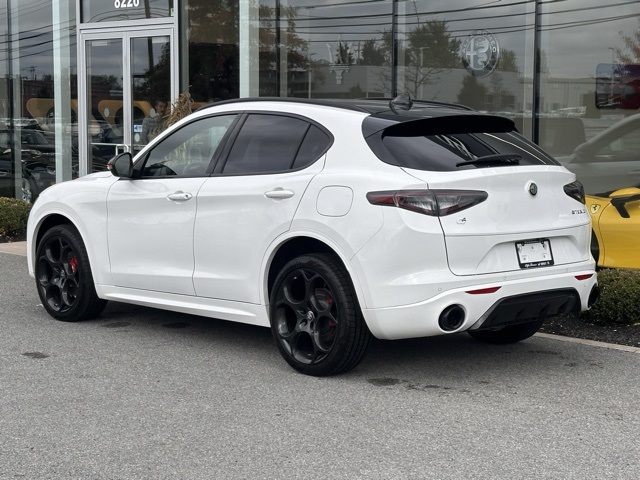 2025 Alfa Romeo Stelvio Tributo Italiano photo 3