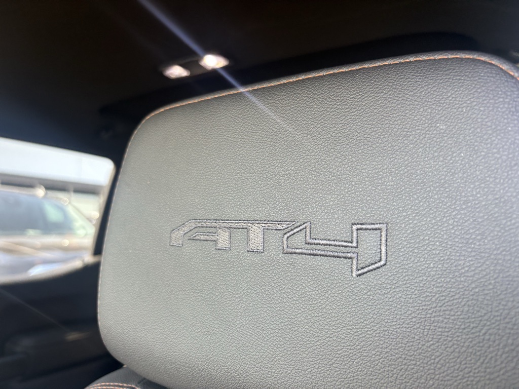 2020 Gmc Sierra 1500 AT4 photo 10