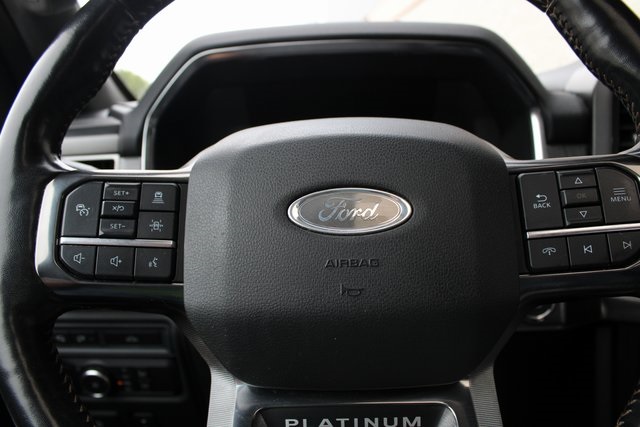 2021 Ford F-150 Platinum photo 15