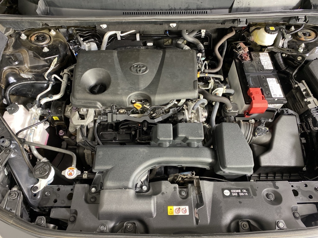 2023 Toyota RAV4 LE photo 19